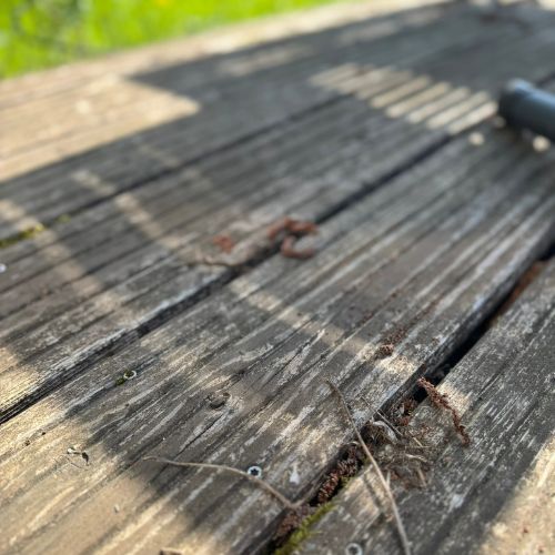 Holz Terrassendielen Schmutz